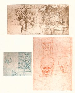 Tre tegninger, c1472-c1519 1883 av Leonardo da Vinci