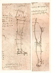 To tegninger som illustrerer teorien om proporsjonene til den menneskelige figuren, c1472-c1519 1883 av Leonardo da Vinci