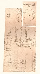To tegninger som illustrerer teorien om proporsjonene til den menneskelige figuren, c1472-c1519 1883 av Leonardo da Vinci