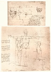 To tegninger som illustrerer teorien om proporsjonene til den menneskelige figuren, c1472-c1519 1883. av Leonardo da Vinci