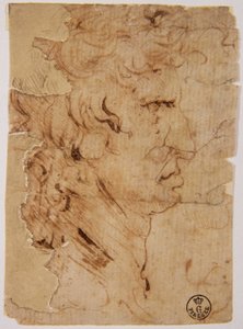 Ukjent bilde av Leonardo da Vinci