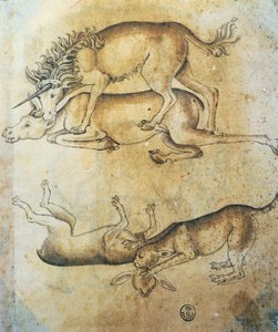 Enhjørning angriper en ku og leopard angriper en sau, studie av dyr, av Leonardo da Vinci (1452-1519), tegning av Leonardo da Vinci
