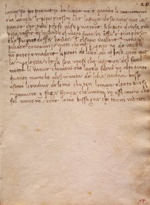 Usignert utdrag fra The Codex Trivulzianus av Leonardo da Vinci