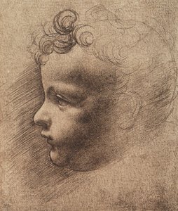 Hodet til en liten gutt; tegning av Leonardo da Vinci. Louvre, Paris av Leonardo da school of Vinci