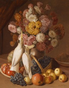 Stilleben med blomster med frukt og kakatieller