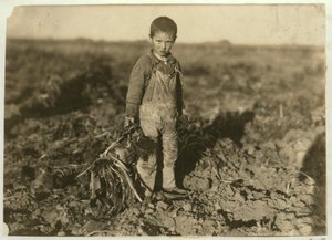6 år gamle Jo trekker sukkerroer på en gård nær Sterling, Colorado, 1915 av Lewis Wickes Hine