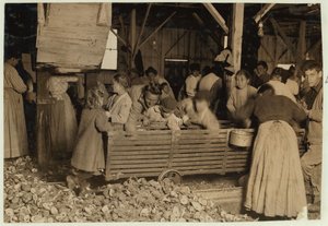 Bill May, 5 år gammel som tjener 15 cent om dagen, i skuret ved Barataria Canning Company, Biloxi, Mississippi, 1911 av Lewis Wickes Hine