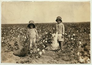Jewel og Harold Walker, 6 og 5 år gamle, plukker 20 til 25 pund bomull om dagen i Geronimo, Comanche County Oklahoma, 1916 av Lewis Wickes Hine