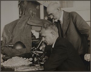 Forske av Lewis Wickes Hine