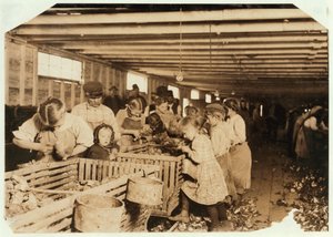 Rosy på 8 år jobber en 14-timers dag som østers-shucker på Dunbar Cannery, Louisiana, 1911 av Lewis Wickes Hine