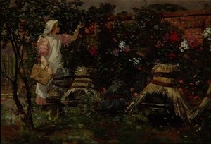 Jente og bielveblest av Lexden L. Pocock