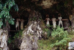 Begravelsesnisjer med Tau Tau likhusfigurer, landsbyen Marrante, Tana Toraja, øya Sulawesi, Indonesia av Unbekannt Unbekannt