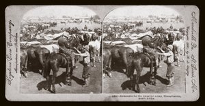 Boer War (Sør-Afrika av Unbekannt Unbekannt