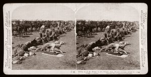 Boer War (Sør-Afrika av Unbekannt Unbekannt