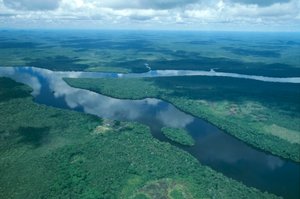 Venezuela, Guayana, Amazonas State, Orinoco River, luftfoto (bilde) av Unbekannt Unbekannt
