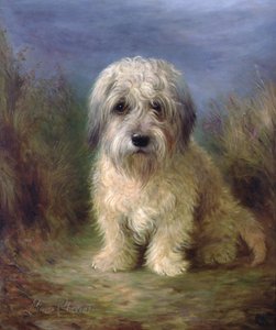Dandie Dinmont Terrier (olje på lerret)