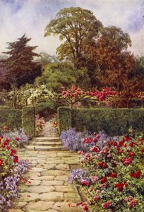 The Rose Walk (farge litho)