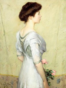 Den rosa rosen