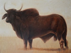 Brahmin Bull av Lincoln Seligman