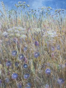 Kornblomst 1 av Lincoln Seligman