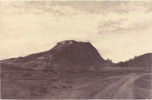 Namculdry: Dry and Tank av Linnaeus Tripe