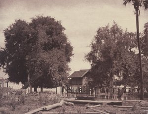 Tsagain Myo: Utsikt nær Irrawaddy-elven av Linnaeus Tripe