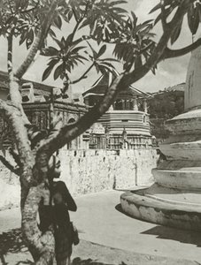 Boy in the Maligawa (b/w photo)   1411583   no       norwegian Successfully Translated  Original: The tear Translat: The tear 1426975 no norwegian Successfully Translated Original: In the Woods Translat: In the Woods 1264765 no norwegian Successfully Trans