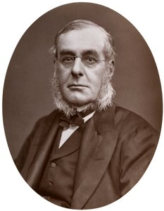 Admiral Sir Richard Collinson, KCB, FRGS, Deputy-Master of Trinity House, 1877. av Lock and Whitfield