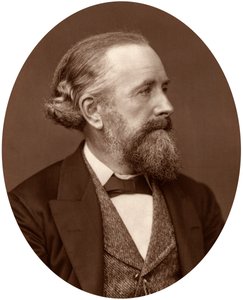 Professor Edward Frankland, 1880. av Lock and Whitfield