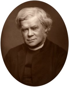 Pastor John Saul Howson, dekan av Chester, 1882. av Lock and Whitfield