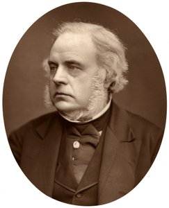 Høyre Hon John Bright, MP for Birmingham, 1876. av Lock and Whitfield