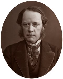 Høyre Hon Lyon Playfair, CB, LLD, FRS, skotsk kjemiker og politiker, 1877. av Lock and Whitfield