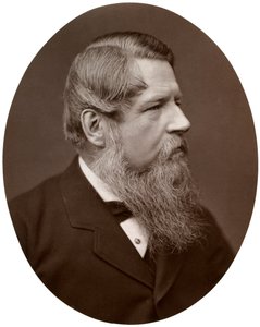 Høyre ære Sir Stafford Henry Northcote, Bart, MP, finansminister, 1877. av Lock and Whitfield