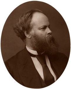 Samuel Plimsoll, Esq, MP, britisk liberal politiker og sosial reformator, 1876. av Lock and Whitfield