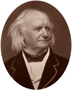 Thomas Webster, maler, 1878. av Lock and Whitfield