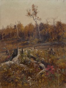 Landskap