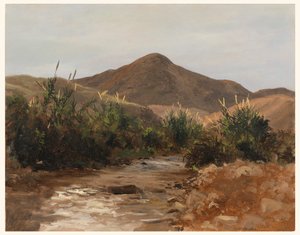 Nær Jericho, Wady Kilt