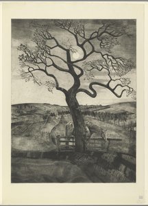 Hest i en eng nær Etikhove Vieux cheval en repos (original tittel) av Lodewijk Schelfhout (signed by artist)