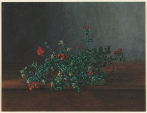 Stilleben med ville blomster, 1864. av Léon Bonvin