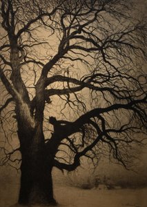  av Leon Spilliaert
