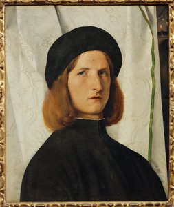 Portrett av en ung mann foran et hvitt forheng (maleri på lindeved) av Lorenzo Lotto