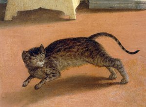Livredd katt, detalj fra Recanati Annunciation, ca 1534, av Lorenzo Lotto (1480-1556), olje på lerret av Lorenzo Lotto