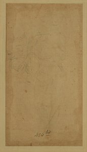  av Lorenzo di Credi