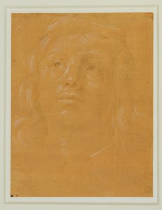  av Lorenzo di Credi