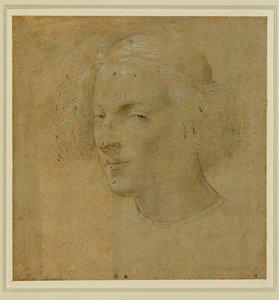  av Lorenzo di Credi