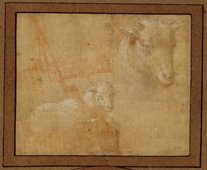  av Lorenzo di Credi