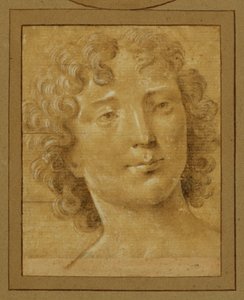  av Lorenzo di Credi