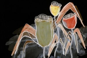 Mørke botaniske kapsler av Lori Ann Folz
