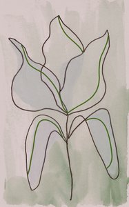 Minimalistisk botanisk skisse av Lori Ann Folz