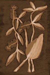 Organiske Sepia Botanicals av Lori Ann Folz